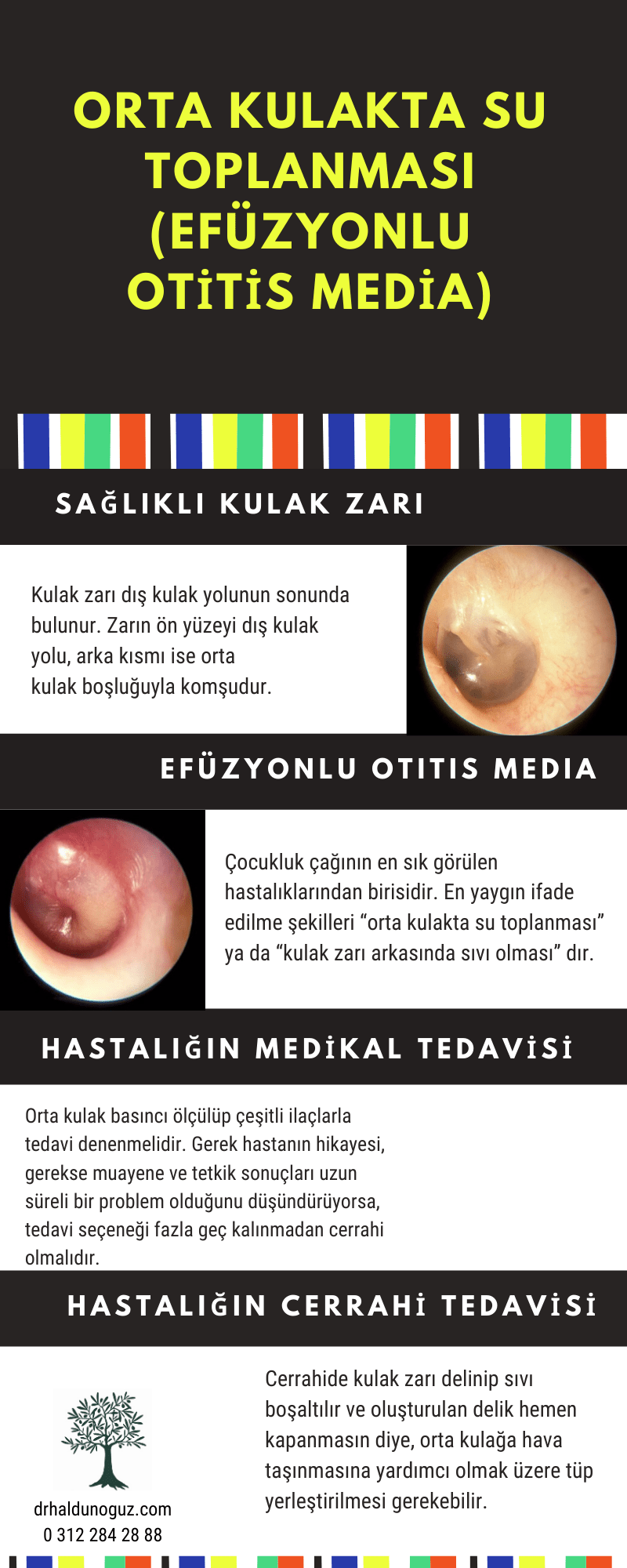 otitis-media
